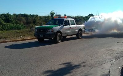 CONTINÚAN LOS TRABAJOS DE DESINFECCIÓN Y FUMIGACIÓN