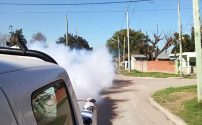 Informe N° 546 | OPERATIVOS DE DESINFECCIÓN Y FUMIGACIÓN EN EL DISTRITO