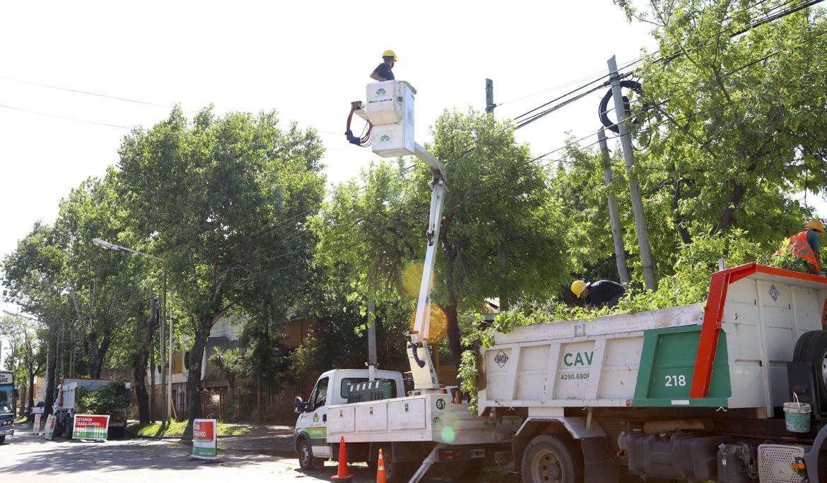 CONTINÚAN LOS OPERATIVOS DE DESPEJE DE LUMINARIAS