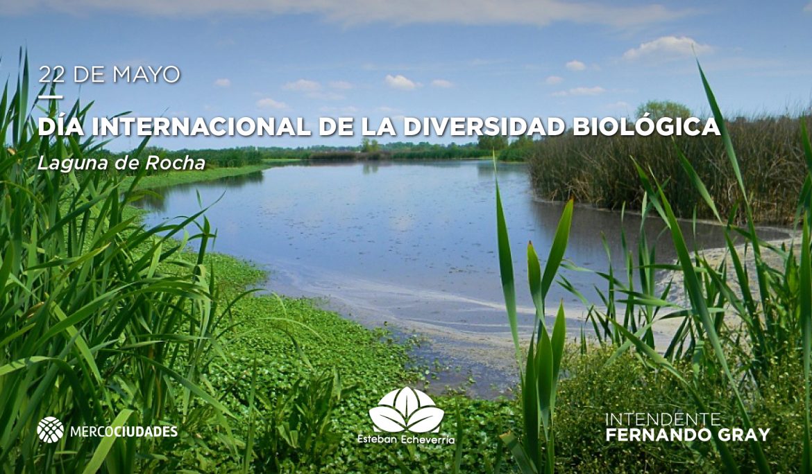 22 de mayo – Día internacional de la diversidad biológica