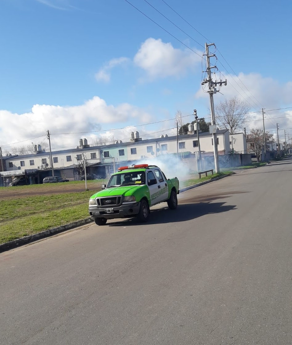 MONTE GRANDE: NUEVOS OPERATIVOS DE FUMIGACIÓN