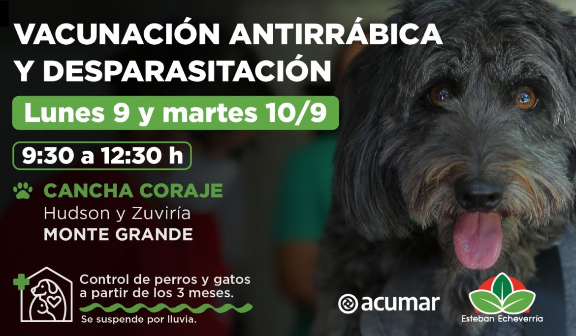 VACUNACIÓN Y DESPARASITACIÓN DE PERROS Y GATOS EN MONTE GRANDE