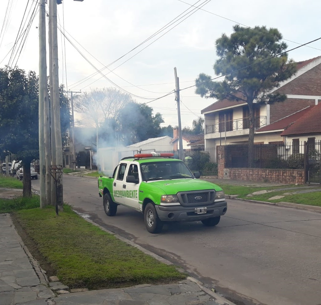 OPERATIVOS DE FUMIGACIÓN EN LUIS GUILLÓN