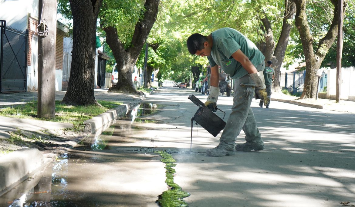 EL MUNICIPIO REALIZA TRABAJOS DE TOMADO DE JUNTAS EN LAS CALLES DEL DISTRITO