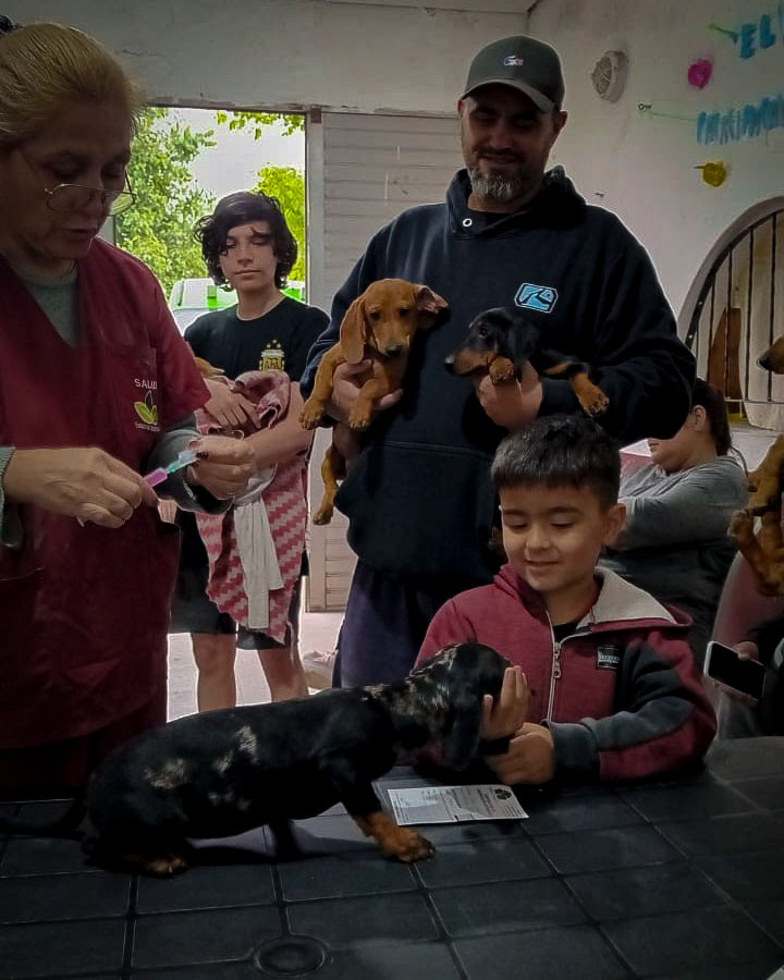 NUEVO OPERATIVO DE VACUNACIÓN ANTIRRÁBICA Y ATENCIÓN VETERINARIA EN MONTE GRANDE SUR