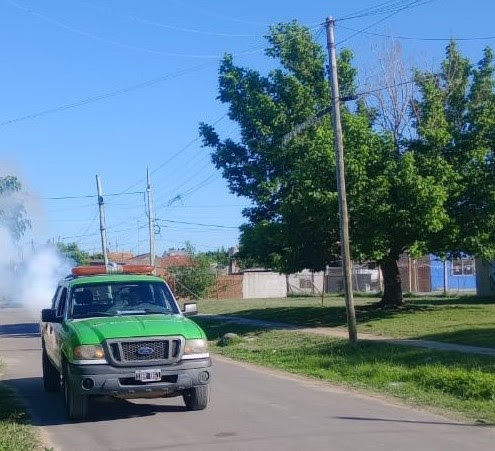 TAREAS DE FUMIGACIÓN EN CANNING