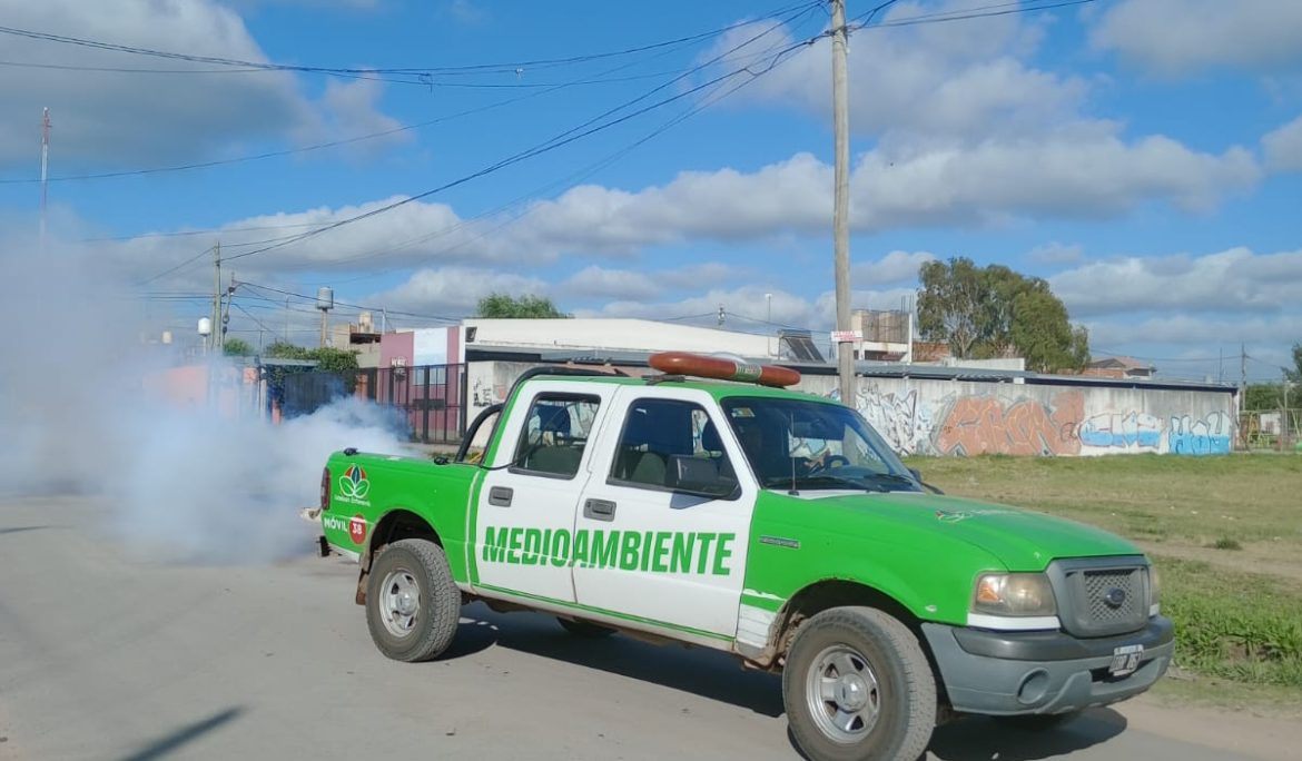 CONTINÚAN LAS TAREAS DE FUMIGACIÓN EN EL DISTRITO