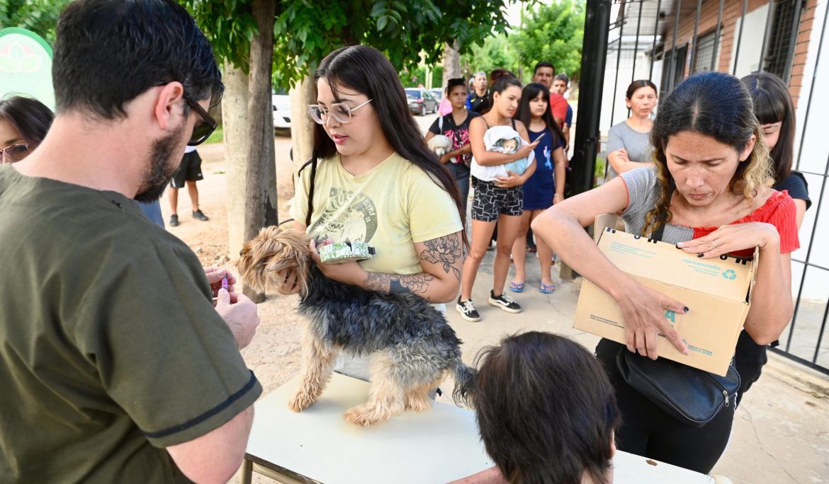 EL MUNICIPIO REALIZÓ UN NUEVO OPERATIVO DE VACUNACIÓN ANTIRRÁBICA