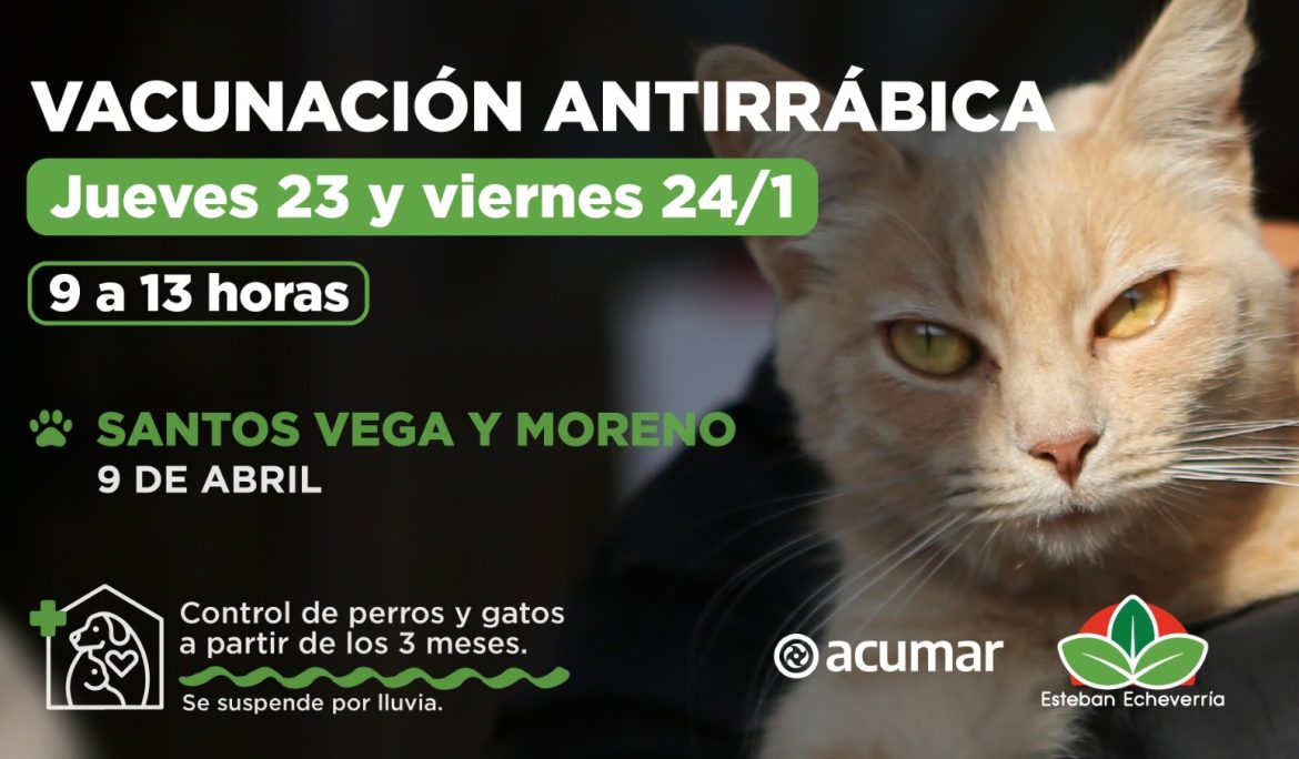 OPERATIVO DE ZOONOSIS EN 9 DE ABRIL